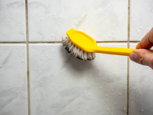 Best Affordable Mold Removal  in Gloverville, SC