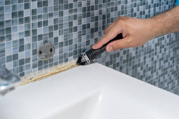 Best Emergency Mold Removal  in Gloverville, SC