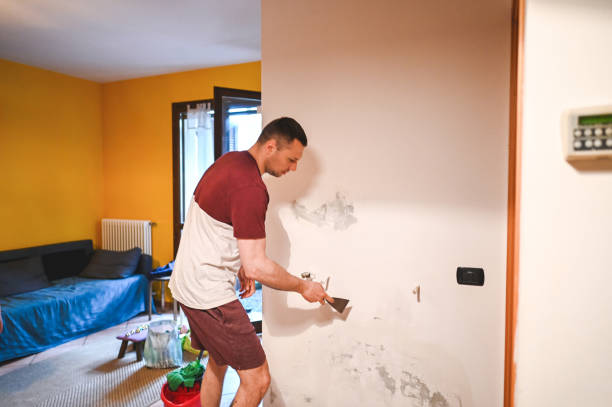 Best Commercial Mold Removal  in Gloverville, SC